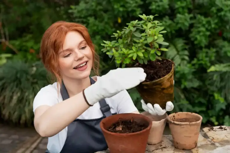 beautiful swedish garden beginner tips