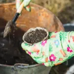 composting backyard garden nutrients