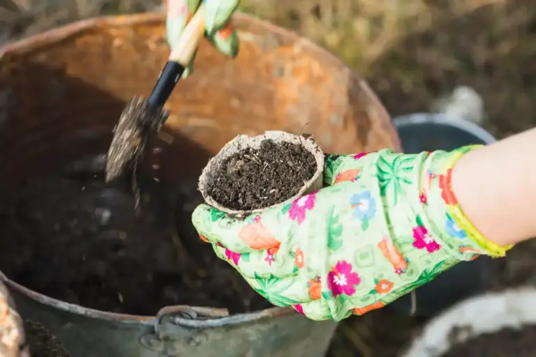 composting backyard garden nutrients