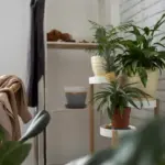 cozy home oasis interior design plants lighting