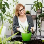 successful home gardening Sweden