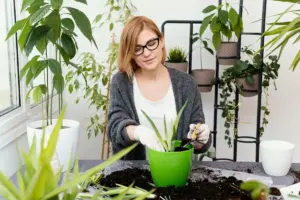 successful home gardening Sweden