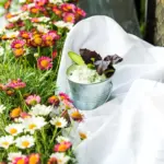 beautiful swedish garden plants summer