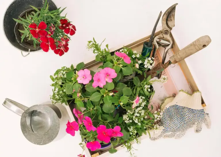 Swedish home garden blooming spring flowers