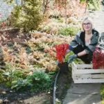 swedish garden spring planting backyard