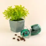 garden coffee grounds fertilizer plants