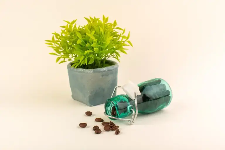garden coffee grounds fertilizer plants
