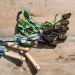 organic fertilizer garden Sweden compost bokashi
