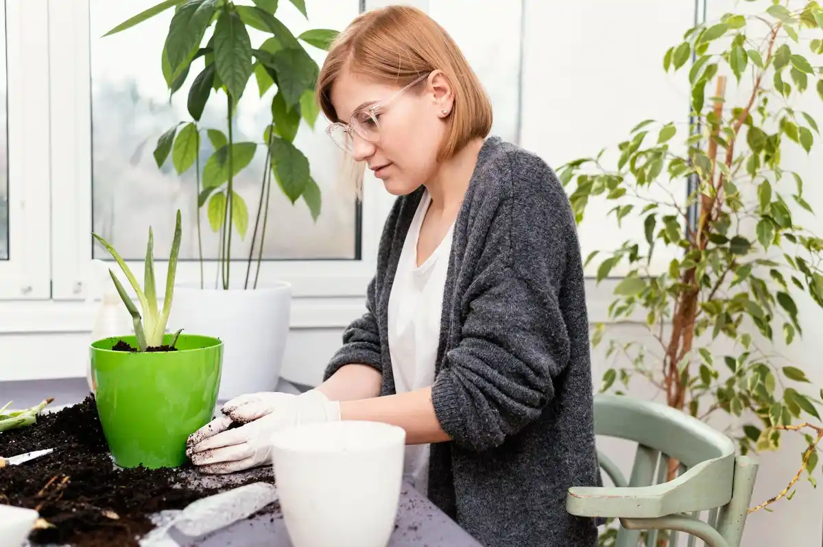 home composting mistakes Sweden