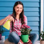 happy green houseplants care tips