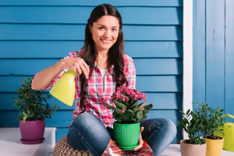 happy green houseplants care tips