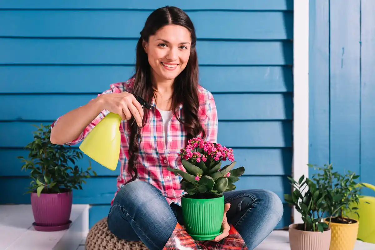 happy green houseplants care tips