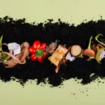 rich compost pile garden soil nutrients