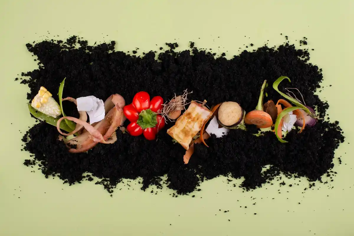 rich compost pile garden soil nutrients