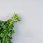 fresh green parsley garden summer