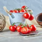 red ripe tomatoes in Swedish garden
