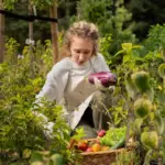 Swedish summer vegetables garden