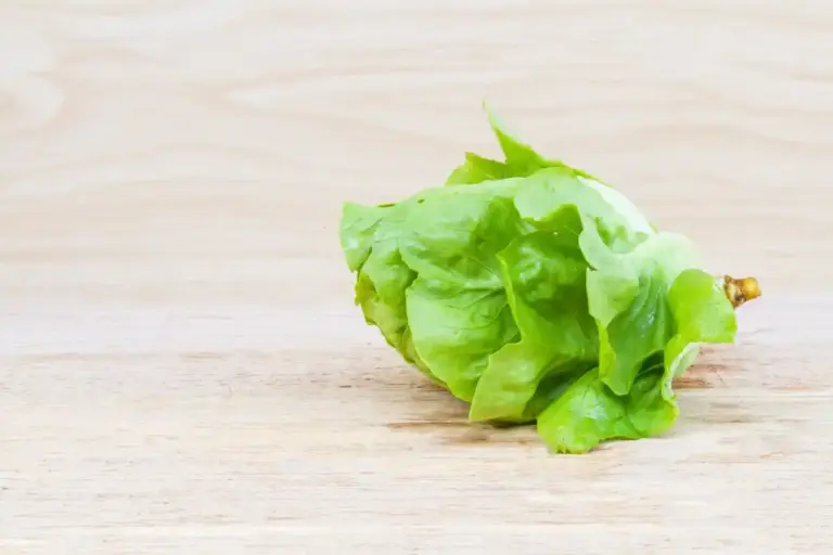 crispy lettuce salad fresh green leaves