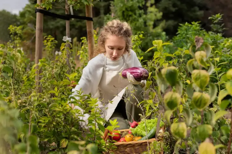 extended vegetable harvest season home garden sweden