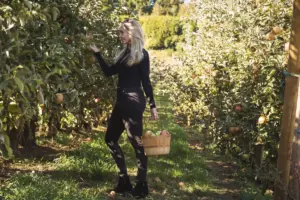 watering berry bushes garden Sweden