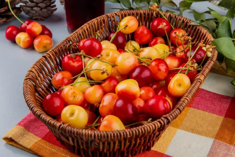Swedish garden fruit trees apple pear plum cherry