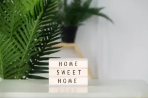houseplant signs thirsty or needs light
