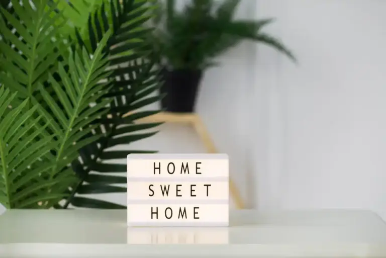 houseplant signs thirsty or needs light
