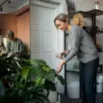 dying houseplants common mistakes