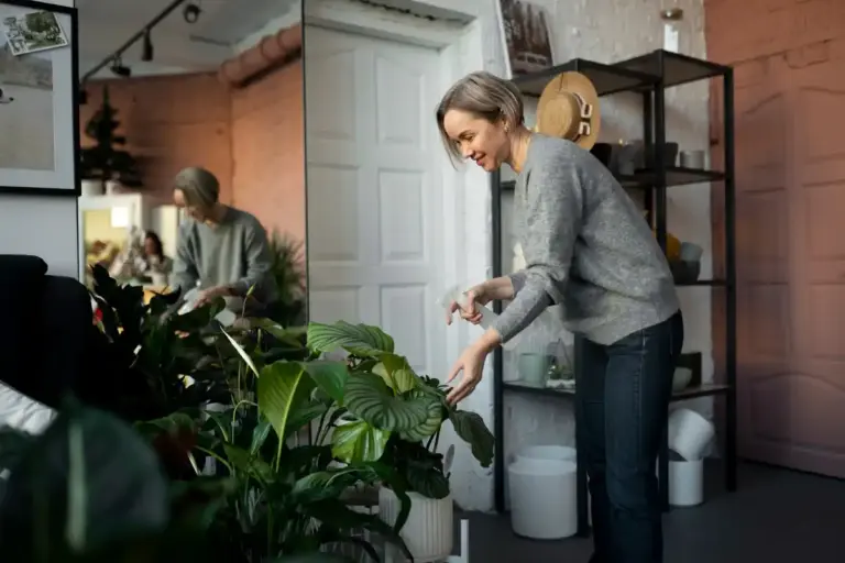 dying houseplants common mistakes