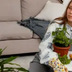 indoor plants for low light nordic
