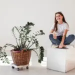 indoor potted plants home care Sweden