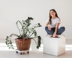 indoor potted plants home care Sweden