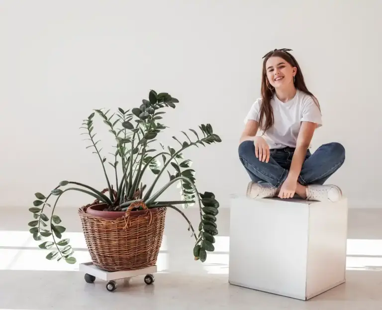 indoor potted plants home care Sweden