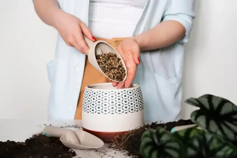 potted plants soil mix indoor gardening