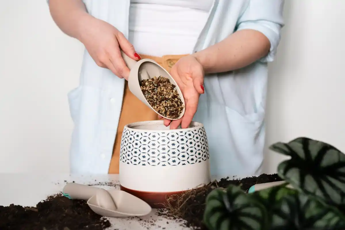 potted plants soil mix indoor gardening