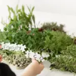 creative garden design Sweden
