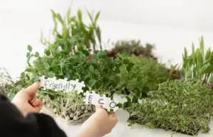 creative garden design Sweden