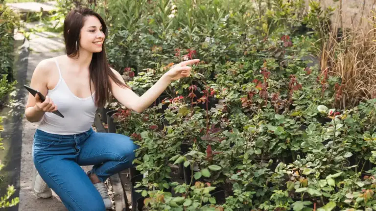 watering berry bushes garden