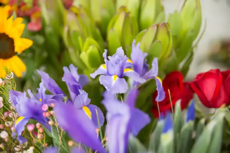 Swedish blooming garden spring plants