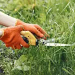 weed control garden Sweden