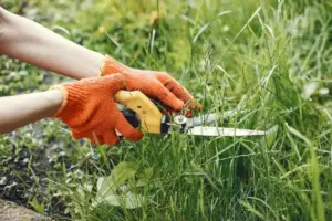 weed control garden Sweden