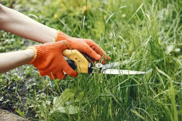 weed control garden Sweden