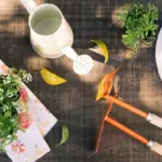 garden planning summer Sweden