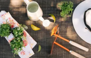 garden planning summer Sweden