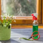 pest control for houseplants garden pests Sweden