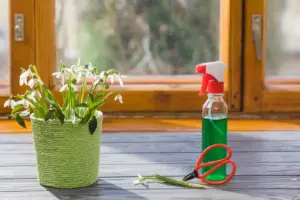 pest control for houseplants garden pests Sweden