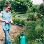 natural pest control garden Sweden