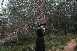 unusual fruit trees in Swedish garden