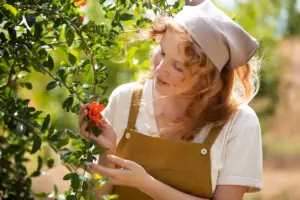 berry bushes gardening care Sweden