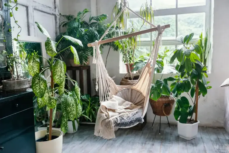 low light indoor plants Scandinavian homes